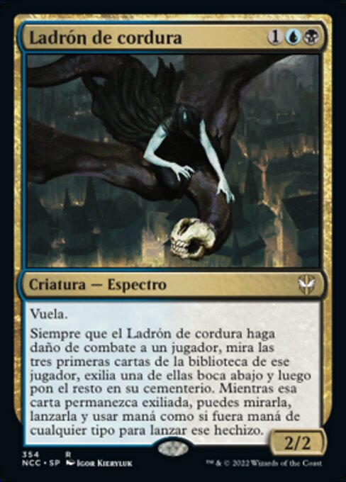 Ladrón de cordura