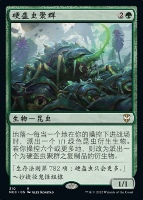 硬盔虫聚群