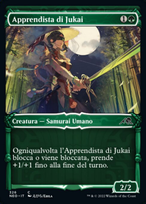 Apprendista di Jukai