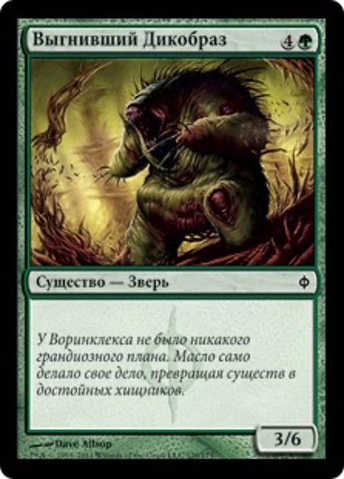 Выгнивший Дикобраз