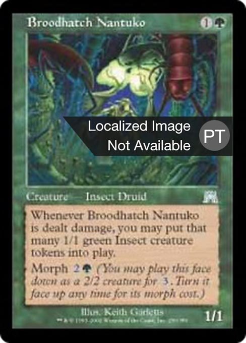 Nantuko Choca-Ninhadas