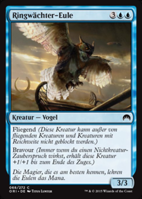 Ringwächter-Eule