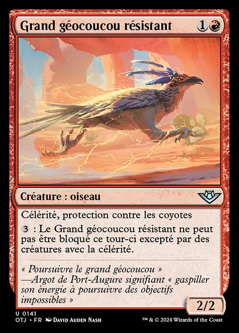 Grand géocoucou résistant