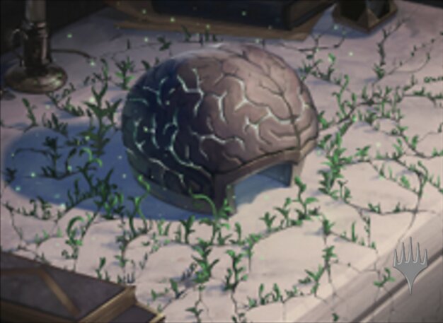 The Stone Brain