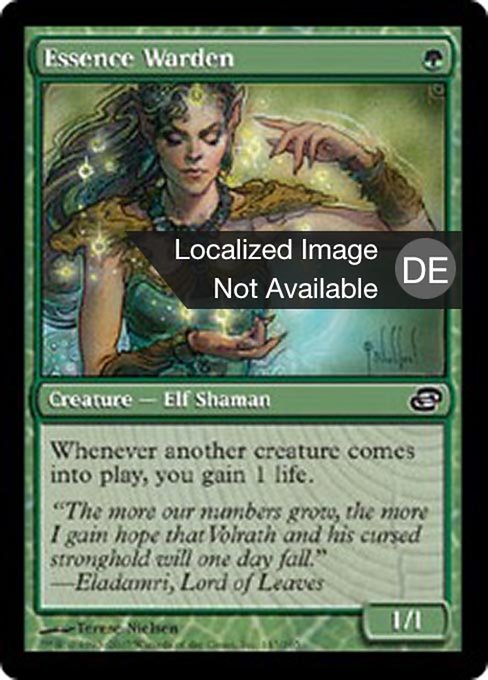 Essence Warden
