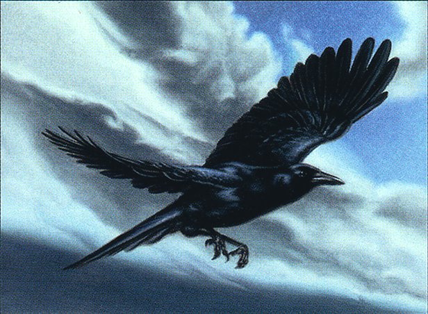 Storm Crow