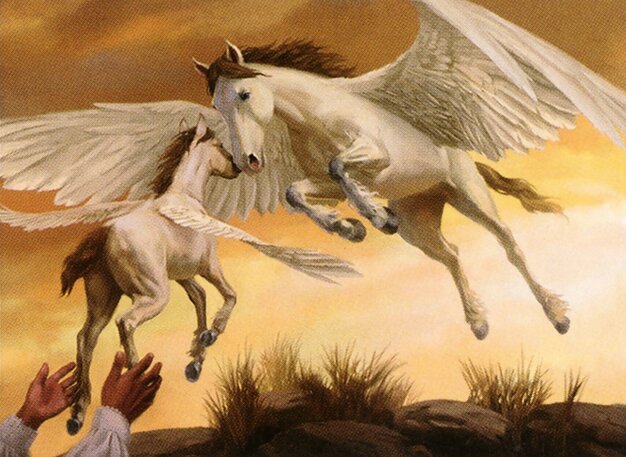 Pegasus Guardian // Rescue the Foal