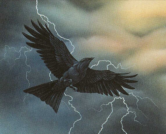 Storm Crow