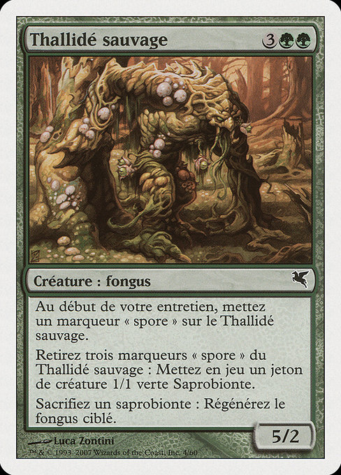 Thallidé sauvage