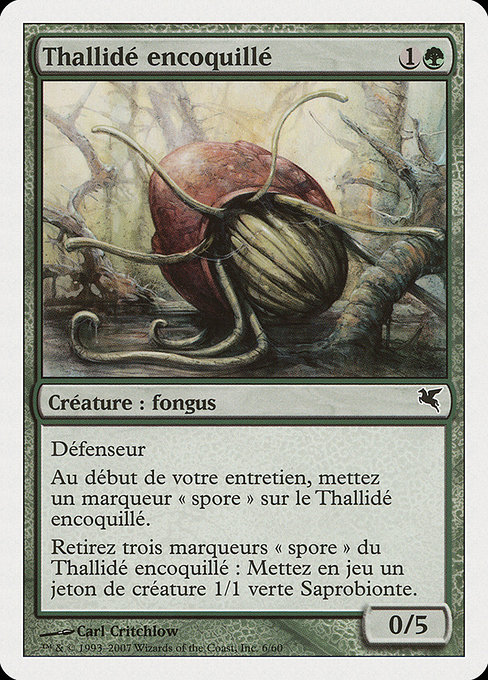 Thallidé encoquillé