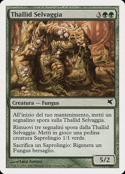 Thallid Selvaggia