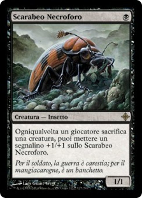 Scarabeo Necroforo