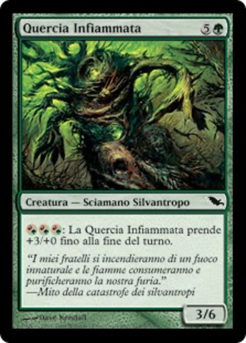 Quercia Infiammata