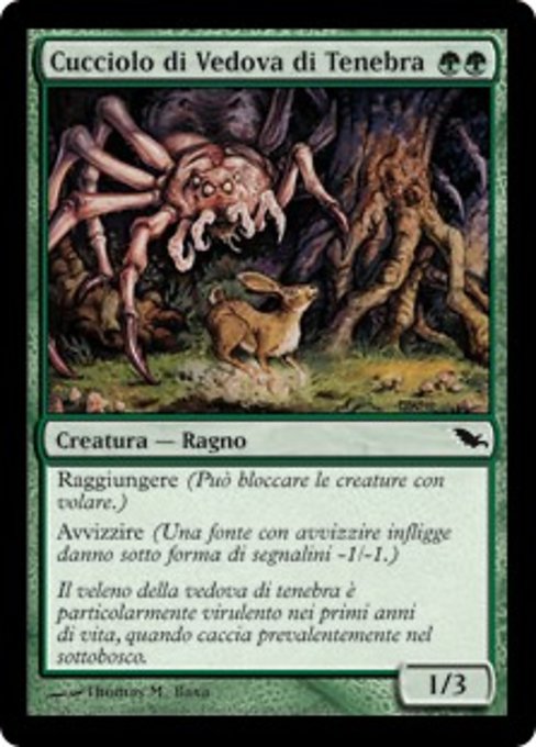 Cucciolo di Vedova di Tenebra