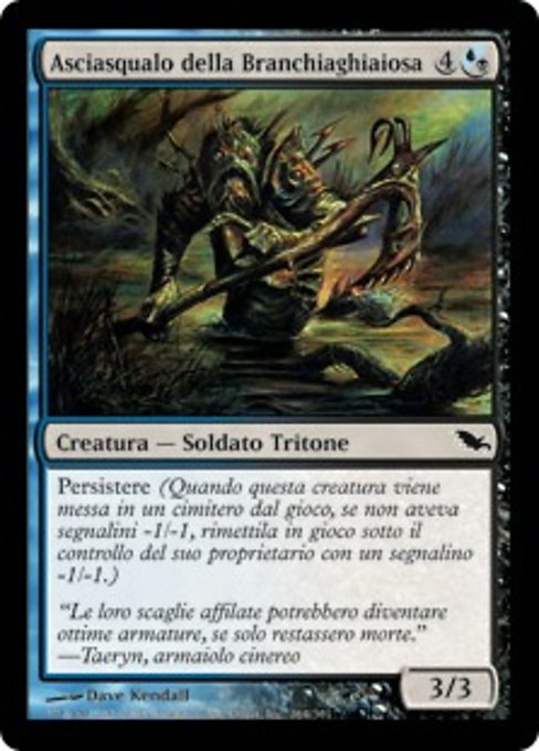 Asciasqualo della Branchiaghiaiosa