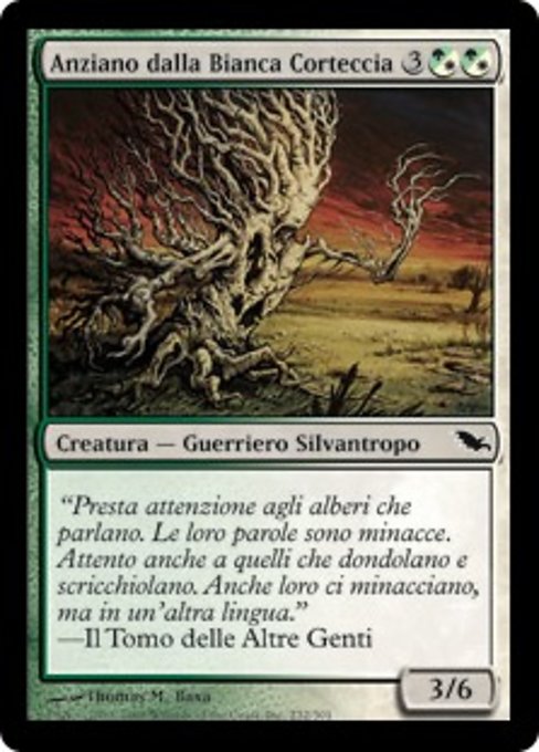 Anziano dalla Bianca Corteccia