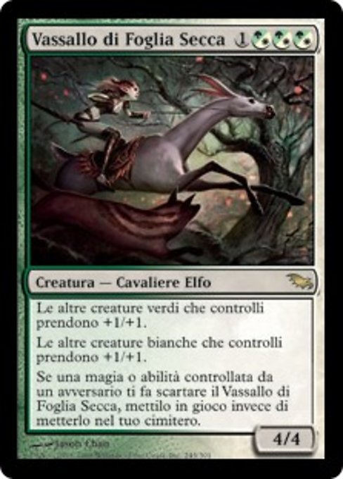 Vassallo di Foglia Secca