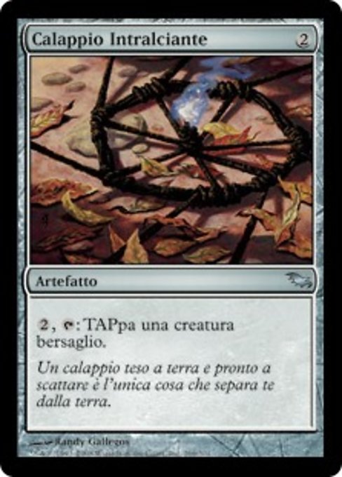 Calappio Intralciante