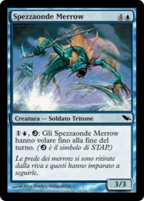 Spezzaonde Merrow