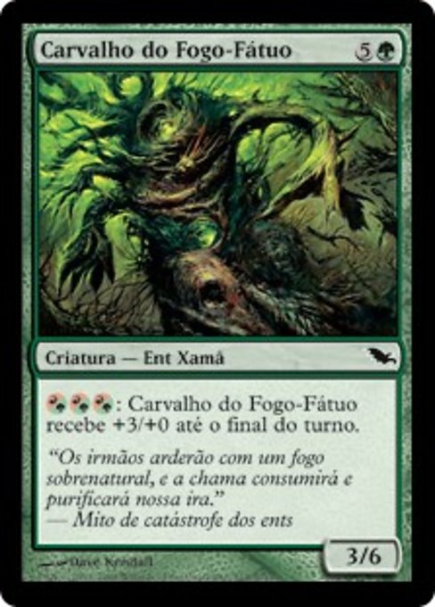 Carvalho do Fogo-Fátuo