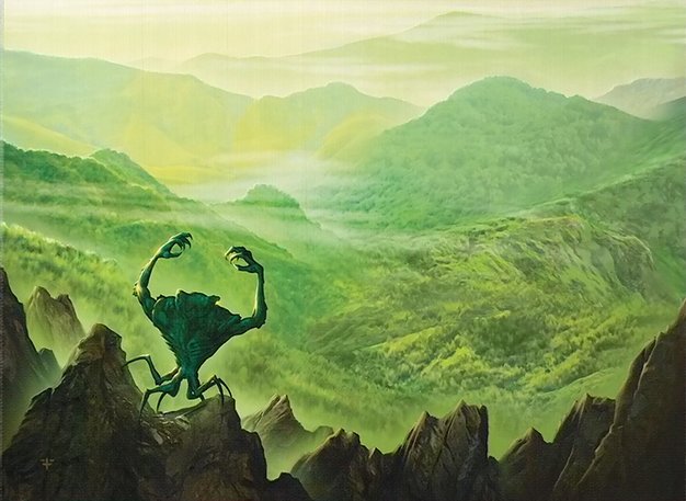 Explore
