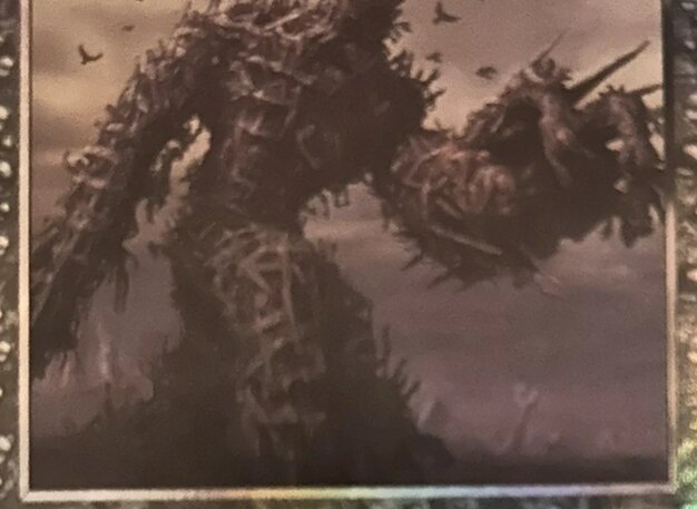 Diregraf Colossus