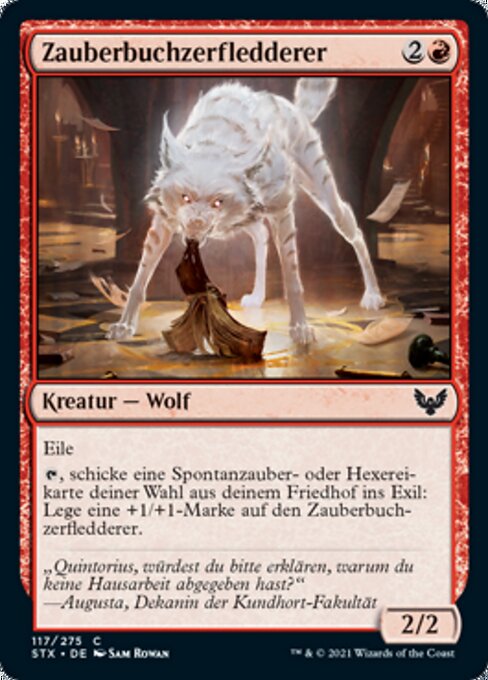 Zauberbuchzerfledderer