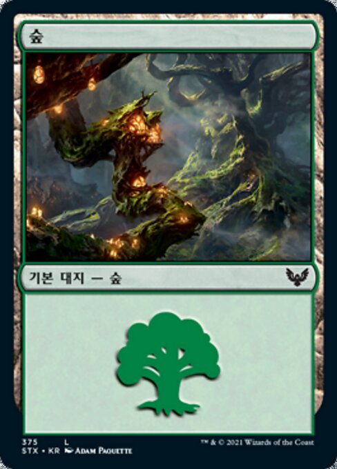Forest