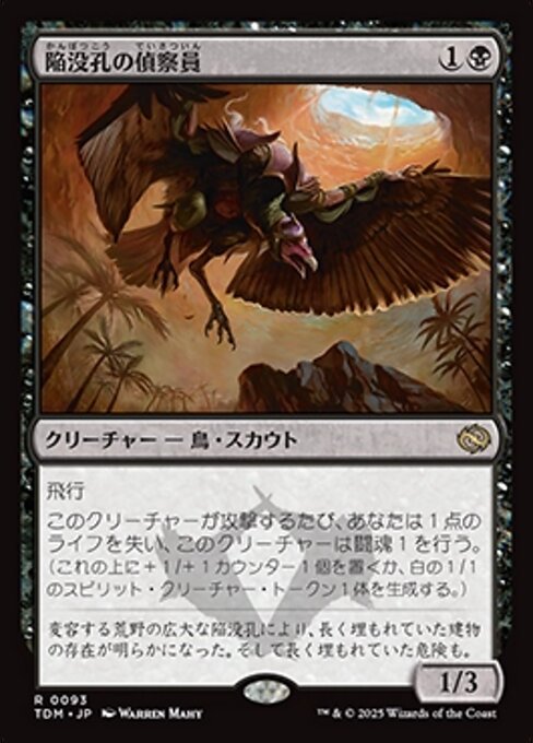 陥没孔の偵察員