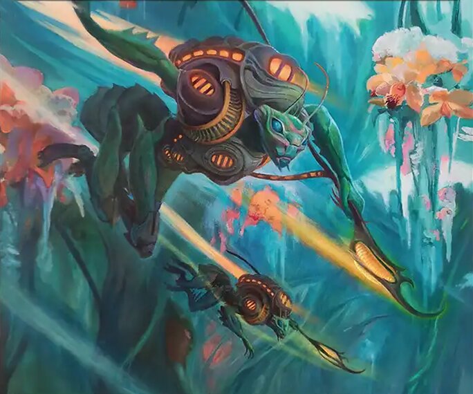 Insect