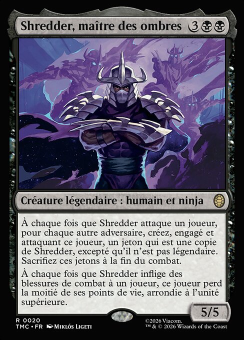 Shredder, maître des ombres