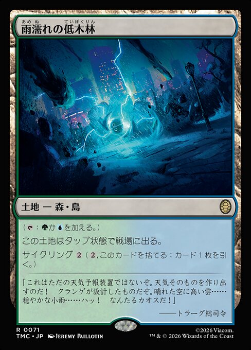 雨濡れの低木林