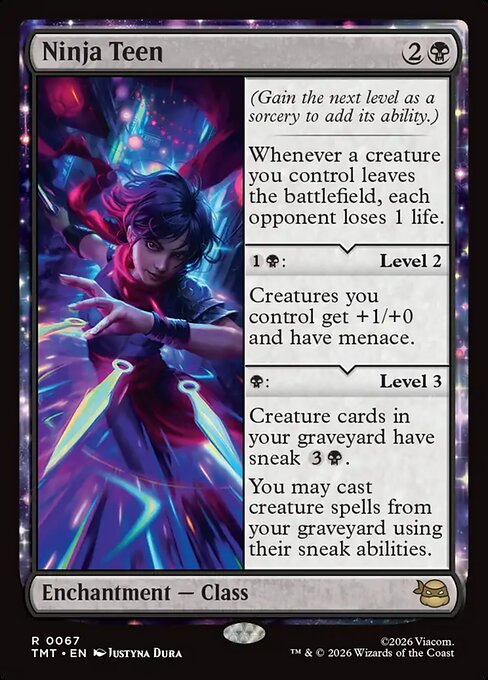 Ninja Teen
