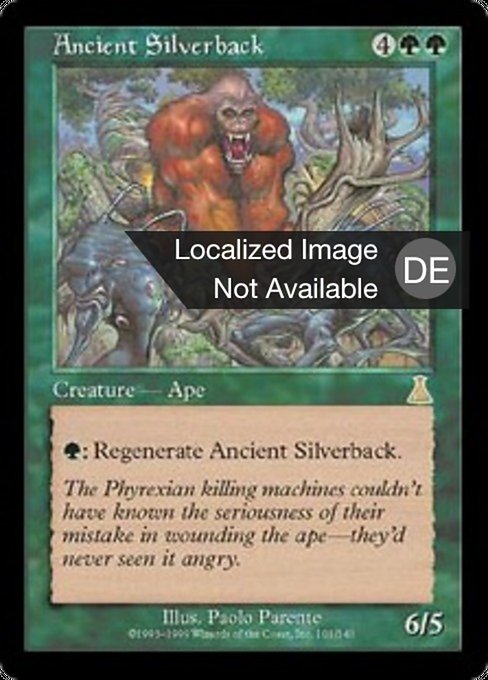 Ancient Silverback