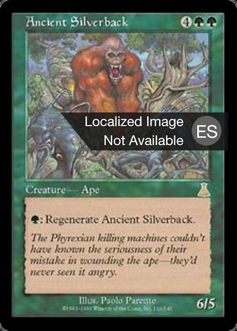 Ancient Silverback