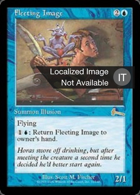 Fleeting Image