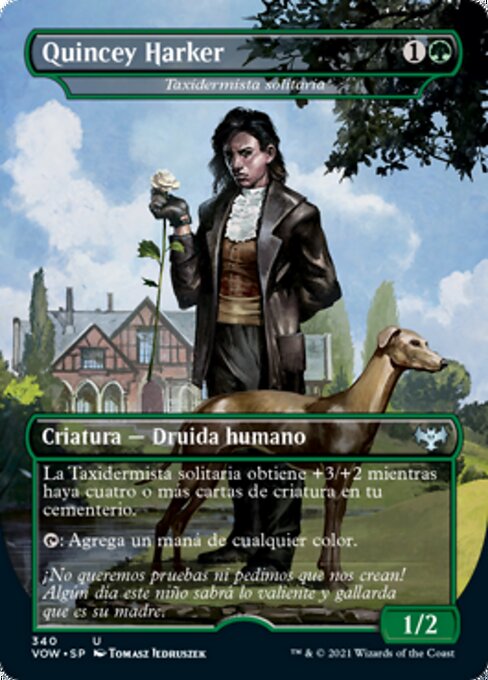 Reclusive Taxidermist