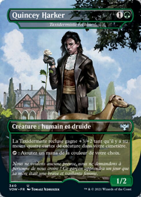 Taxidermiste recluse