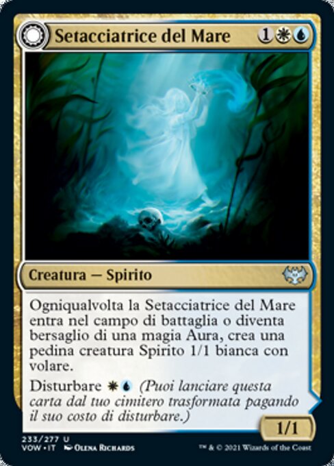 Brine Comber // Brinebound Gift