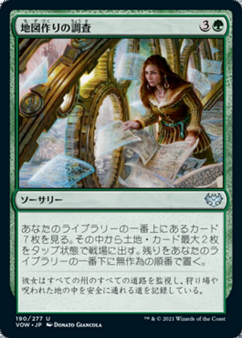 Cartographer's Survey