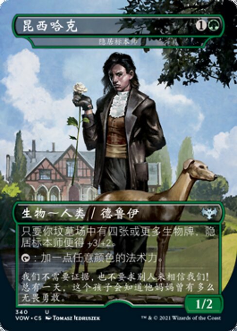 Reclusive Taxidermist