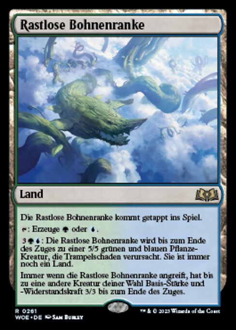 Rastlose Bohnenranke