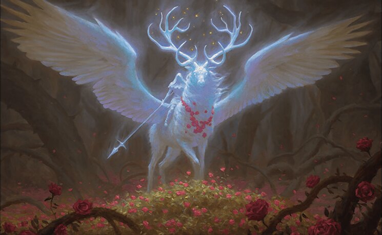 Archon of the Wild Rose