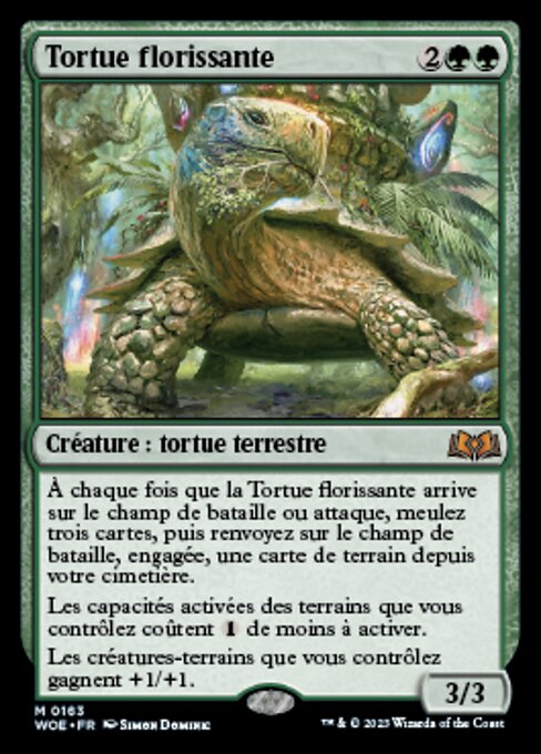 Blossoming Tortoise