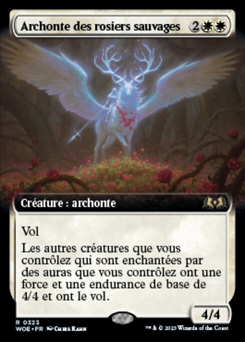 Archonte des rosiers sauvages