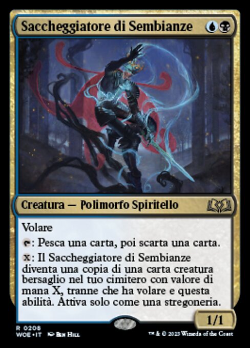 Saccheggiatore di Sembianze