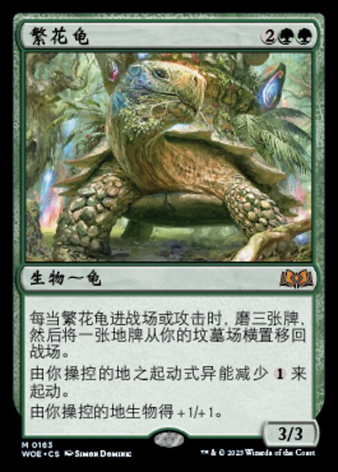 Blossoming Tortoise