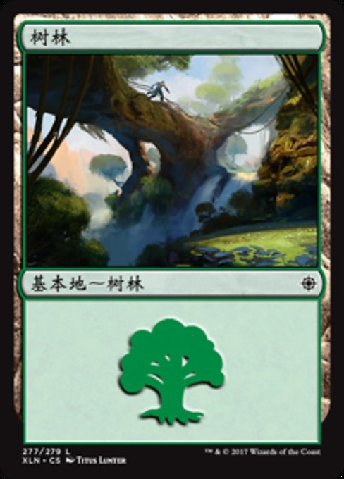 树林