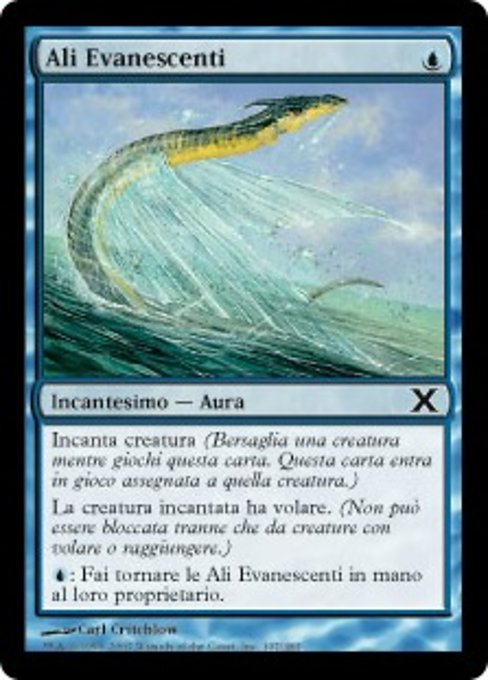 Ali Evanescenti