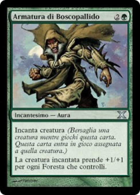 Armatura di Boscopallido